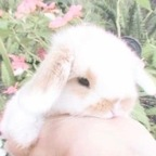 Onlyfans leak bbypowdr2 

 profile picture