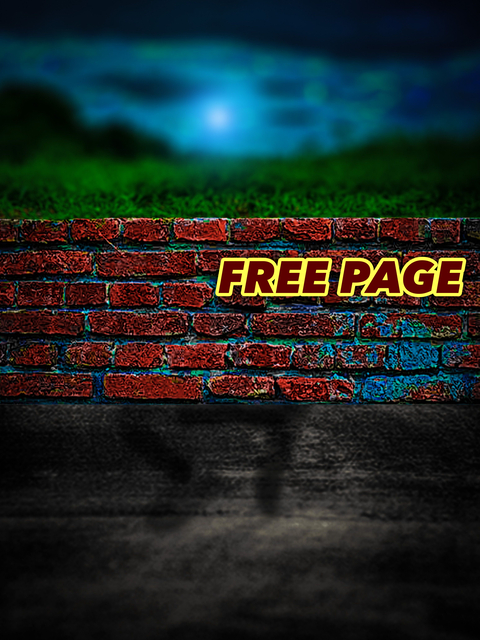 Video leaks beardedpervbln