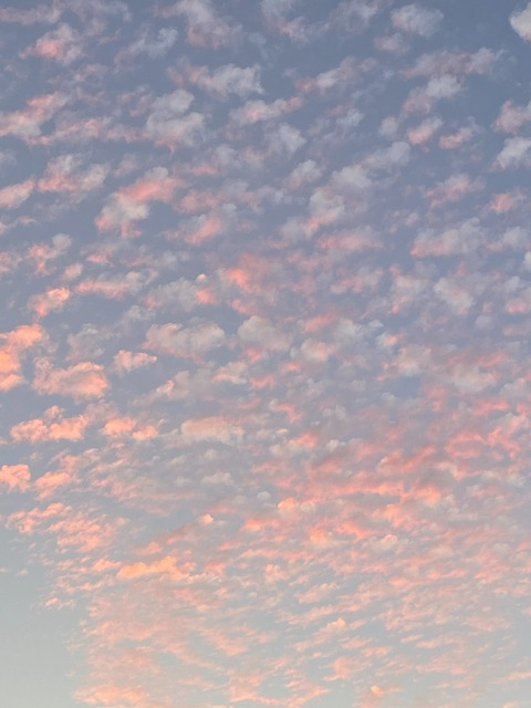 Video leaks bella_xxs