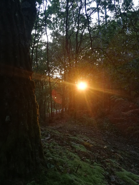 Video leaks bellalunablossom