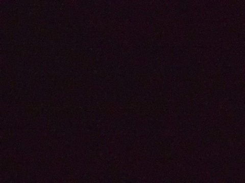 Video leaks belleadams