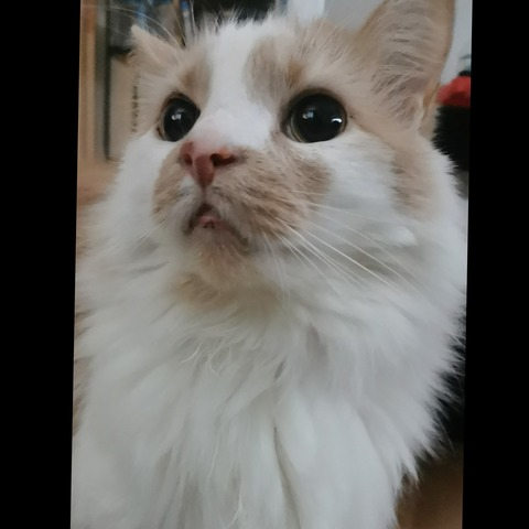 Video leaks belyandre666