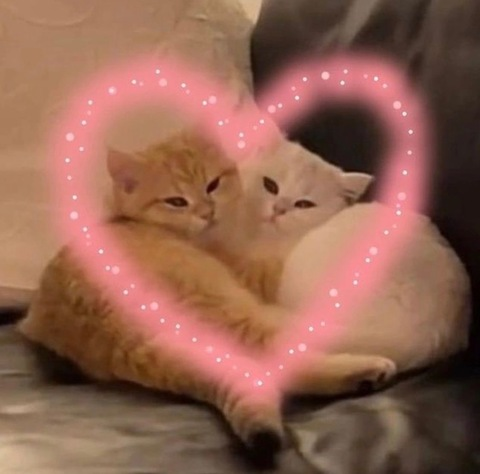 Video leaks berrybunniz