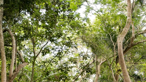 Video leaks bethlina98