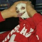 betoh Profile Picture