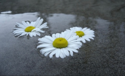 Video leaks betsy881