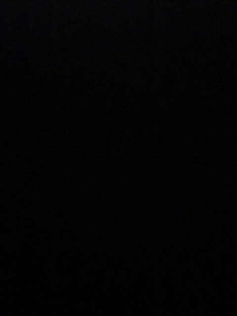 Video leaks bgs948