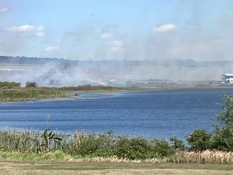 Video leaks bibear32