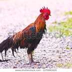 big_jim73 Profile Picture