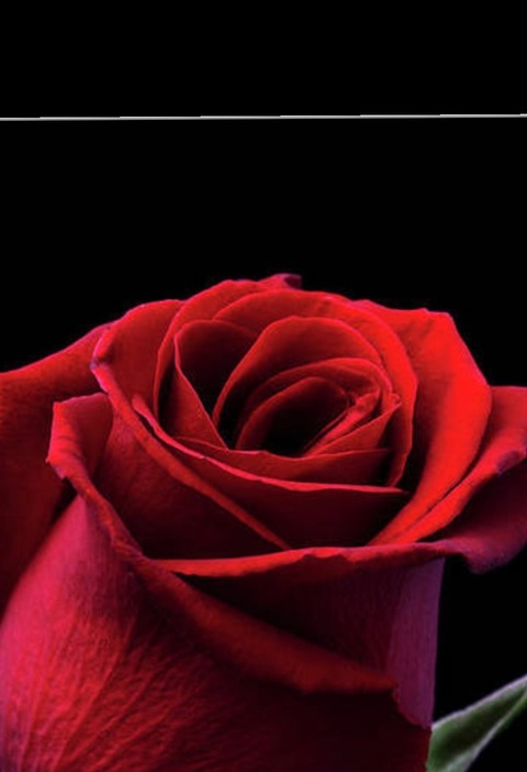 Video leaks bigbattydimple