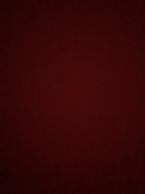 Video leaks bighomiejarvistho