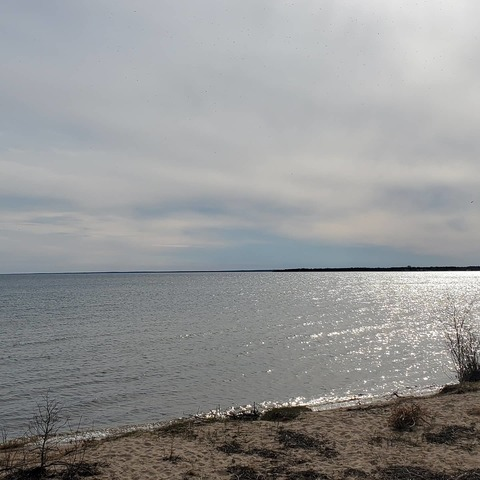 Video leaks bigmandaddy