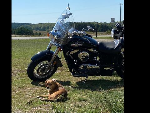 Video leaks bikerandhisollady