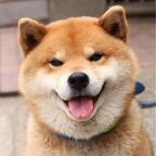 bkkstudio Profile Picture