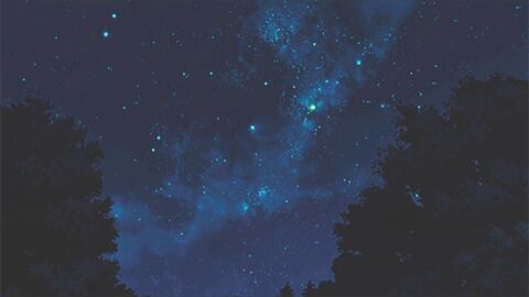 Video leaks blackcrafts