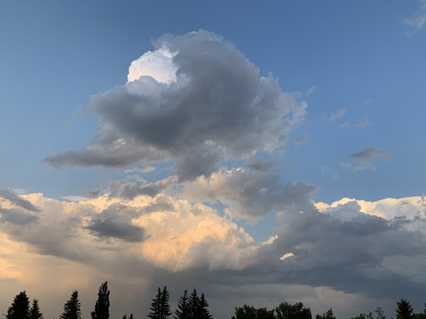 Video leaks bloodynat20