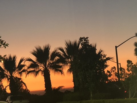 Video leaks bluebluebabe