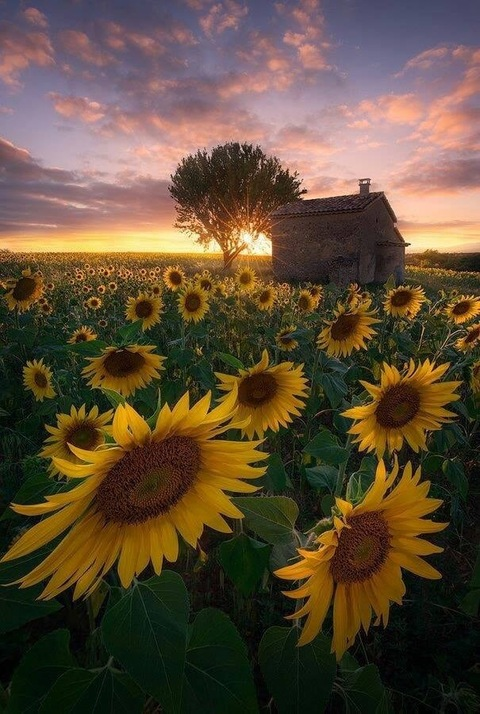 Video leaks blueeyedblondebitch69