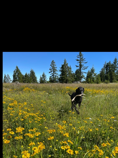 Video leaks bombshellblondee93