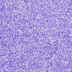 bourque Profile Picture