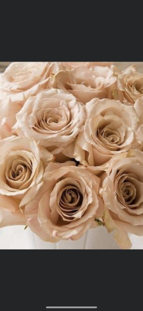 Video leaks bribabyxoxo22