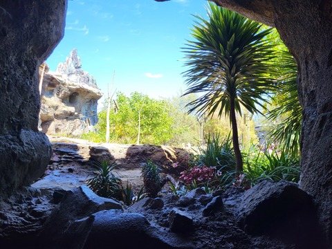 Video leaks brntwlsn