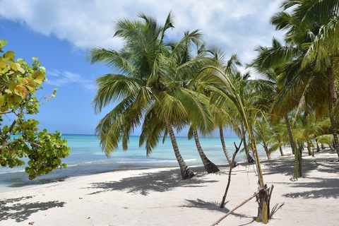 Video leaks brodyjett