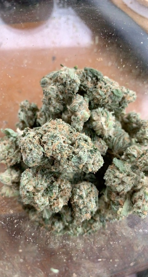 Video leaks brookebackwood