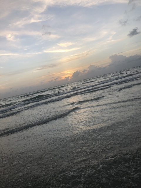 Video leaks brooklyno