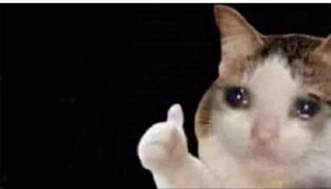 Video leaks brosephine