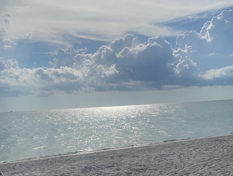 Video leaks bubble4.0