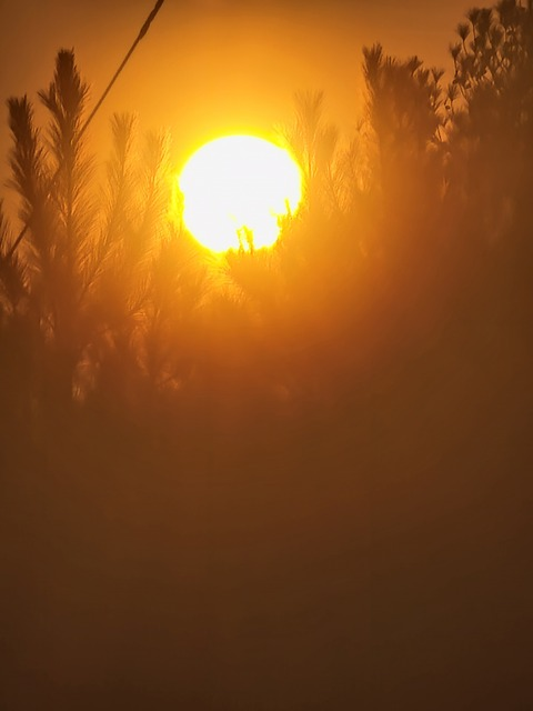 Video leaks bubbles1798