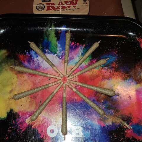 Video leaks buddy247