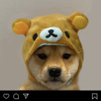 Free access to (bunniebby) Leaked OnlyFans 

 profile picture