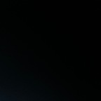 bunnychildd Profile Picture