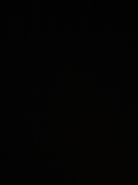 Video leaks bunnyspitz