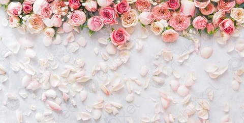 Video leaks butterflylover