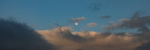 Video leaks buzzy980528_2