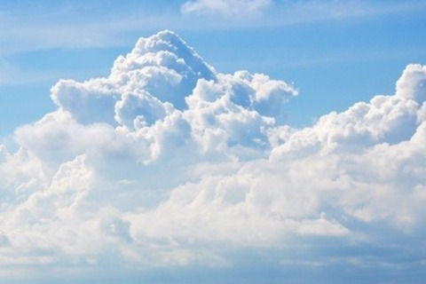 Video leaks callierosefree