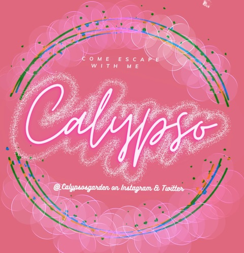 Video leaks calypso888
