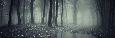 Video leaks camilalynnadams