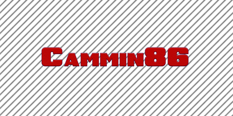 Video leaks cammin86