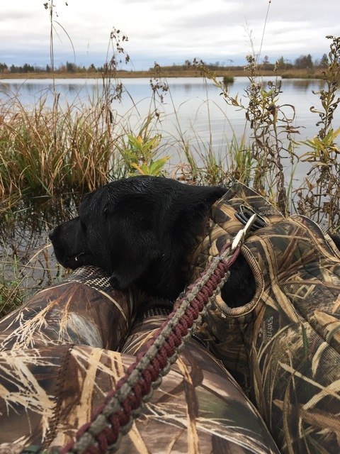 Video leaks camo_princess