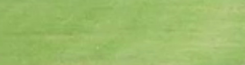 Video leaks camthehornbag