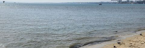 Video leaks cardomarques