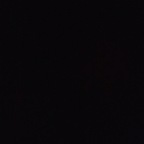 carmendoll Profile Picture