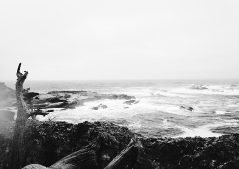 Video leaks caroleaks