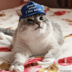 Cat @catinthebluehat Leaked OnlyFans 

 profile picture