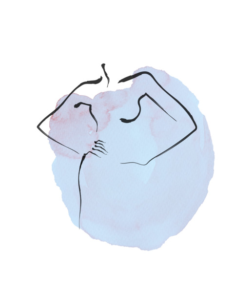 Header of cattycass