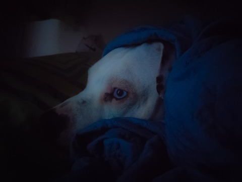 Video leaks cbastian.ra